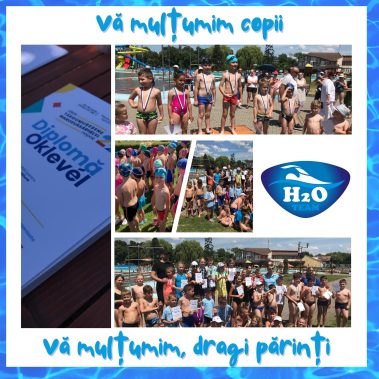 290633598 554498779521984 8716861216334028897 n